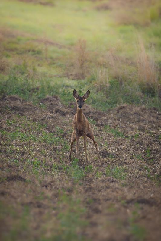Auch das muss mal sein