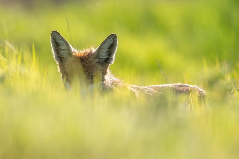 Im Blick