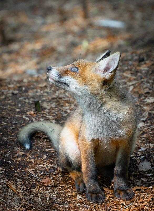 Immer schön umschauen