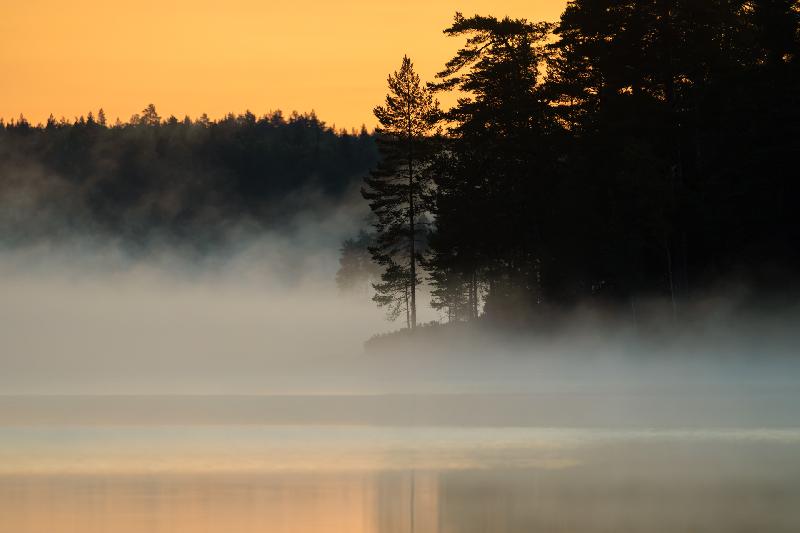 Morgenstimmung am Halftron