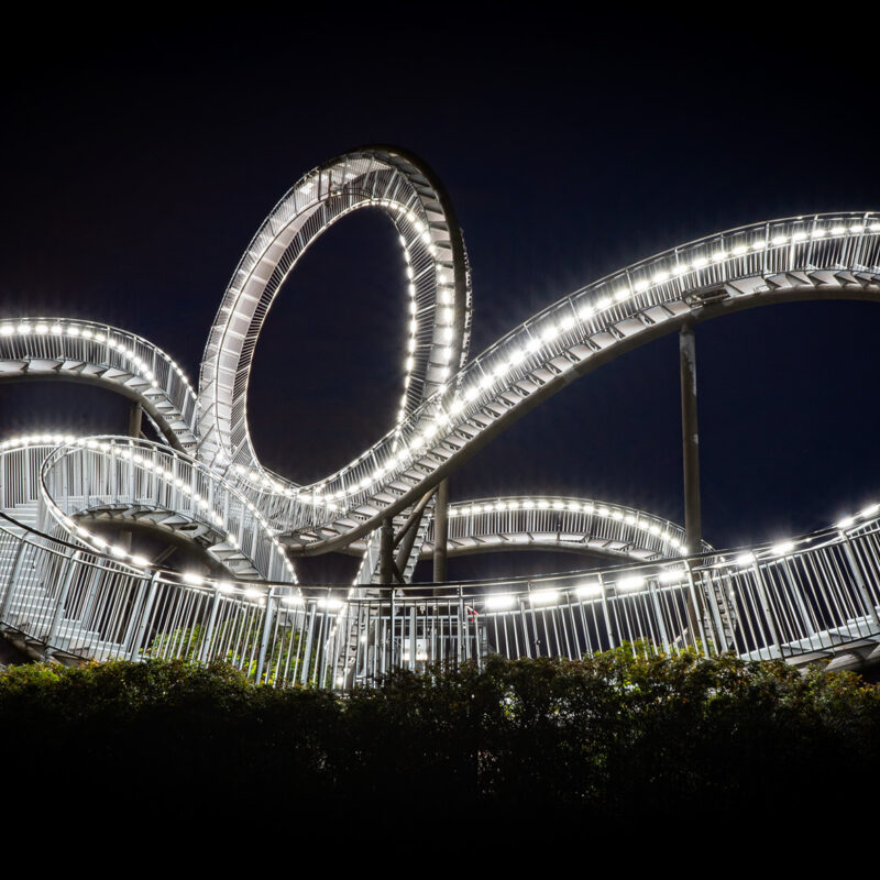 Tiger and Turtle, Copyright Stephan Siemon