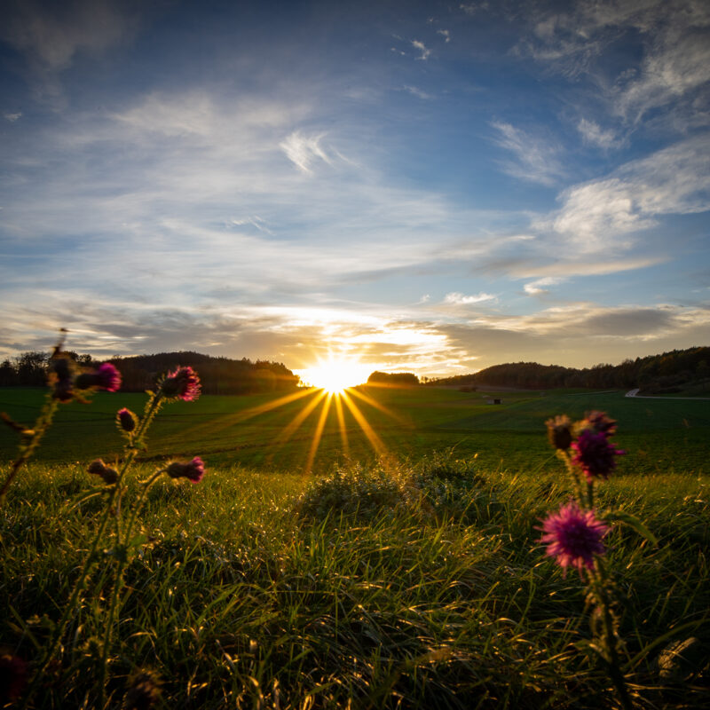 Sonnenuntergang Üxheim, Copyright Stephan Siemon fotografiert von Stephan Siemon