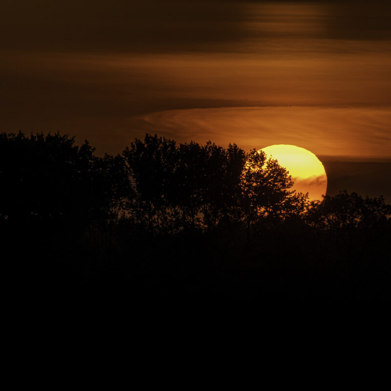 Tieforangener Sonnenuntergang, Copyright Stephan Siemon