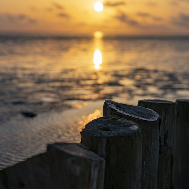Sonnenuntergang Wattenmeer, Copyright Stephan Siemon