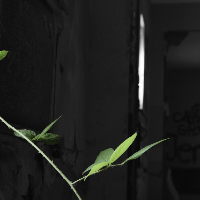 Lost Place Muna Dünsen