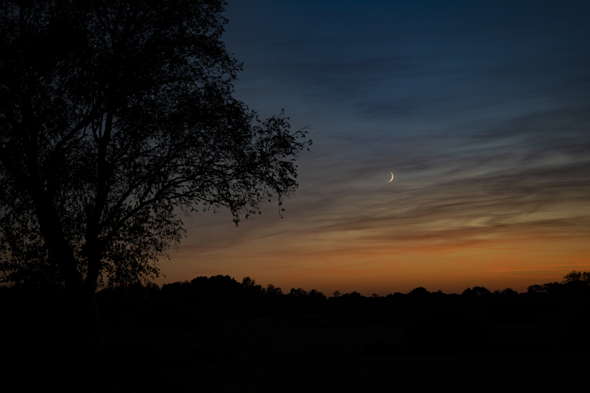 Blaue Stunde im Moor fotografiert von Stephan Siemon