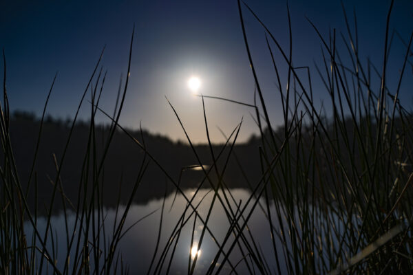 Entspannter Abend am Sandersfelder See