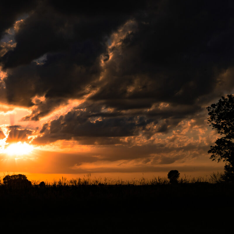  fotografiert von Stephan Siemon