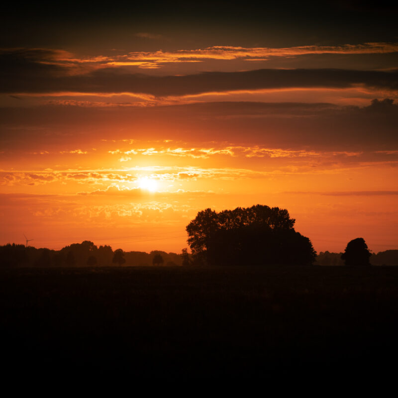 Abendspaziergang im Moor