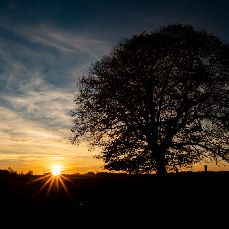 Silhouette