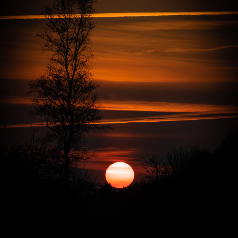 Sonnenuntergang im Hohenbökener Moor