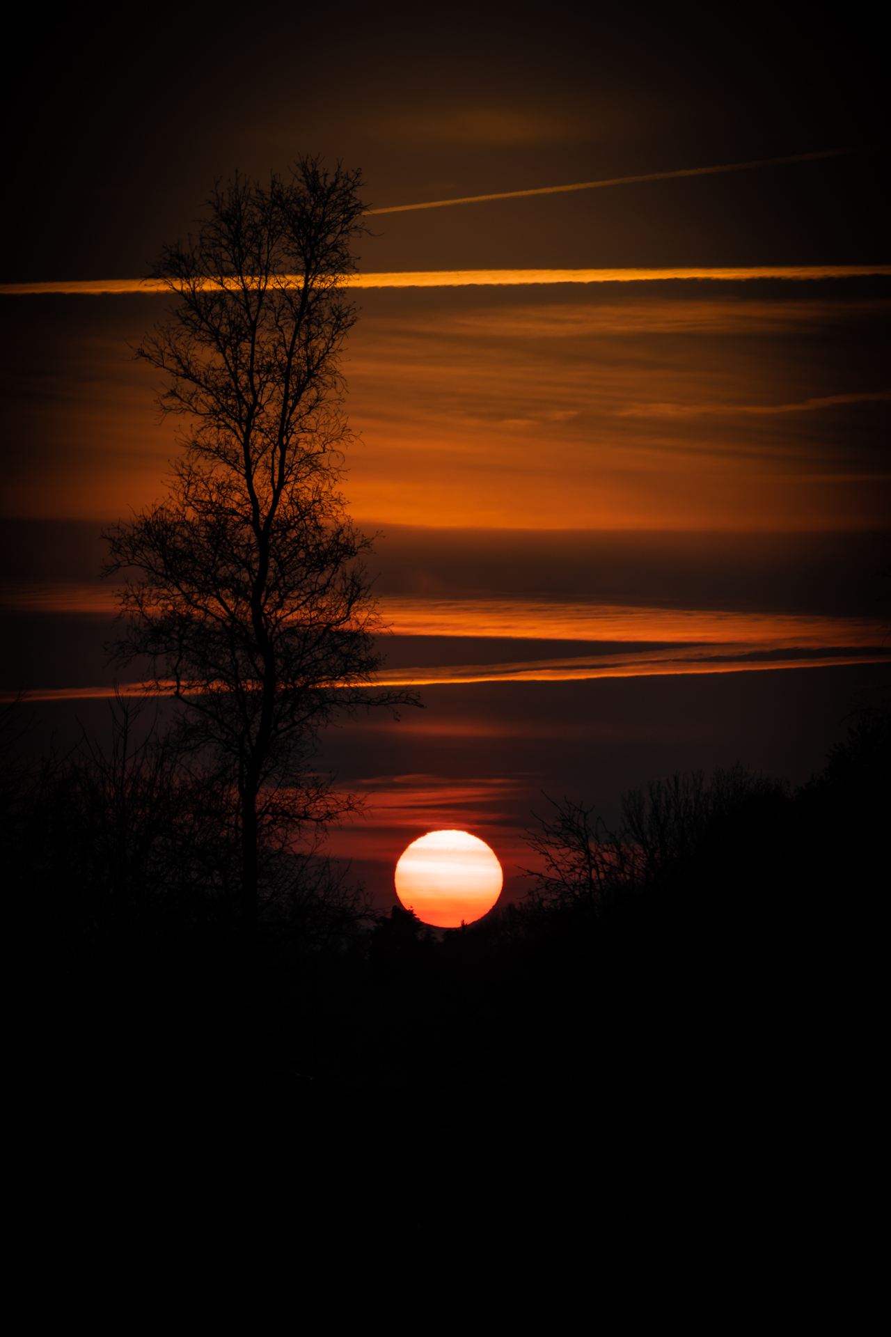 Sonnenuntergang im Hohenbökener Moor fotografiert von Stephan Siemon