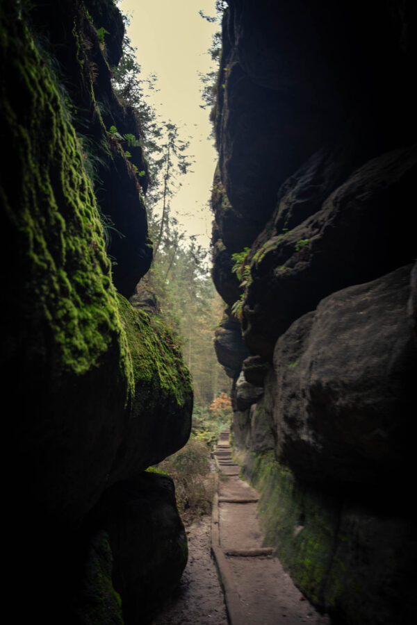 Schrammsteinwanderung – Schlucht am Lattengrundweg