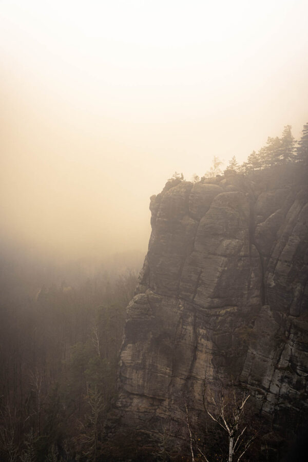 An der Rotkehlchenstiege