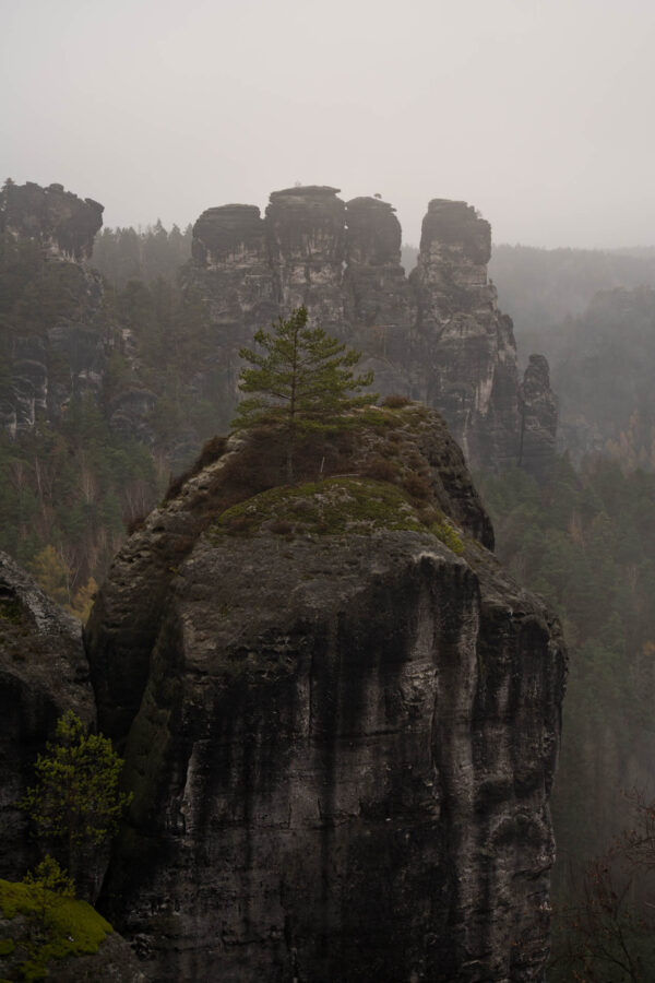 Felsen im Nebel – Bastei