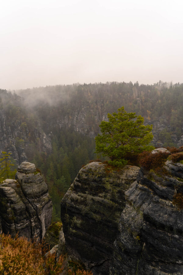 Basteifelsen
