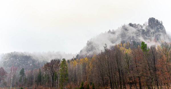 Landschaft im Nebel