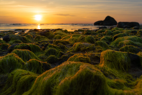 Sonnenuntergang auf Poel