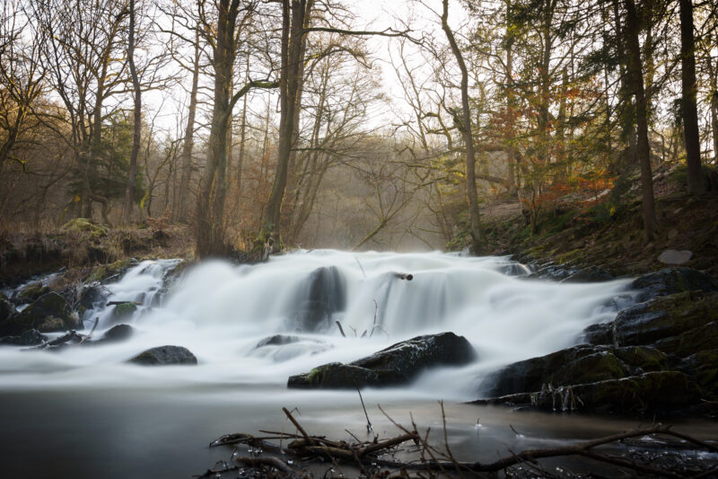 Selkefall