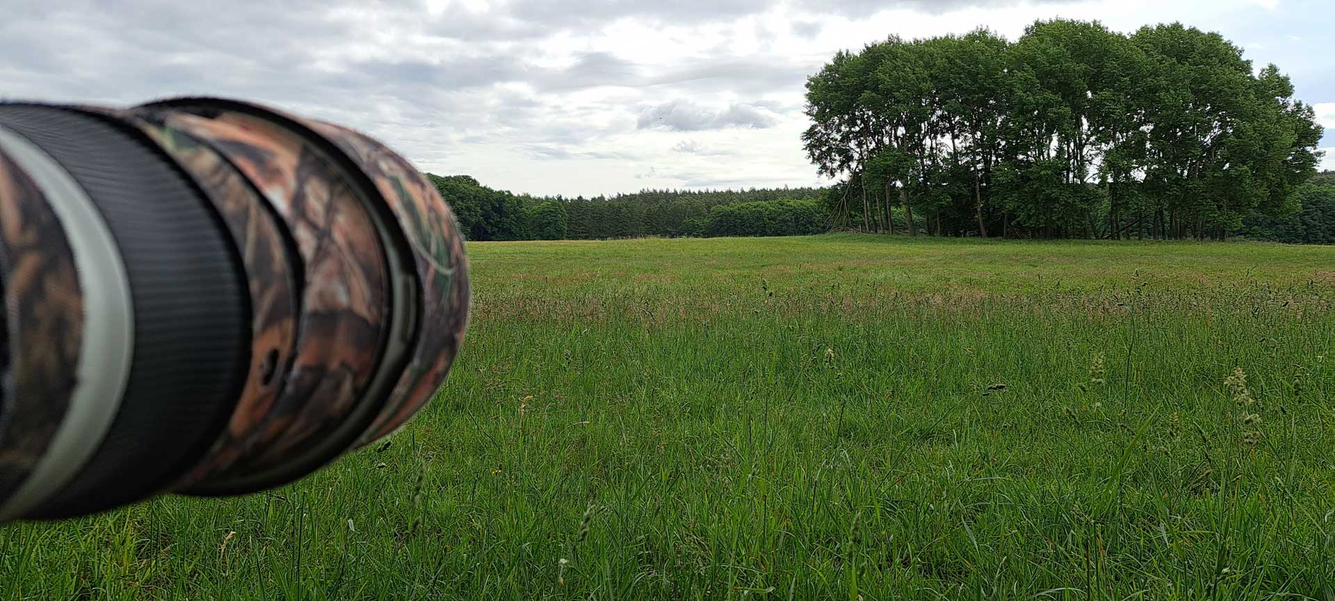 Fotoszene am Feldrand