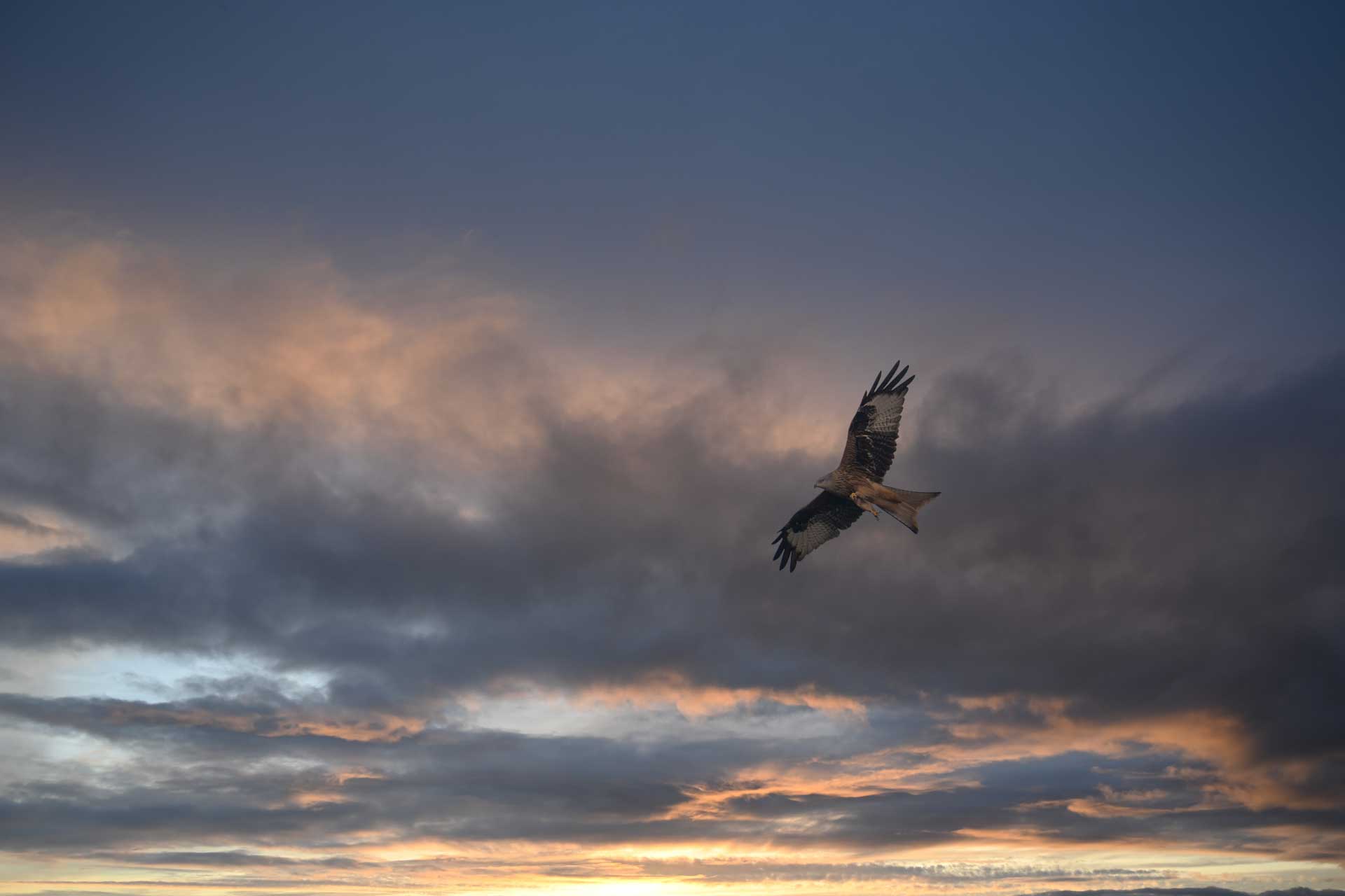 Milan - fürchterlich aussehnder, ausgetauschter Himmel