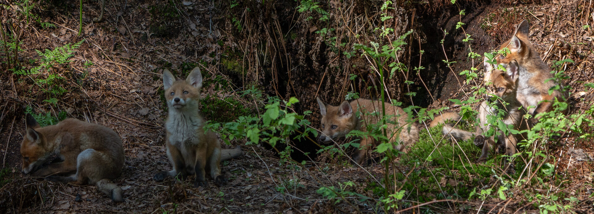 Titelbild Nicht jedes Foto ist für die Öffentlichkeit