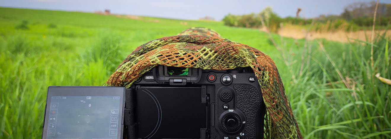 Titelbild Wann sind Wildtiere wirklich aktiv? Zeiten, Muster & Tipps für bessere Naturfotos